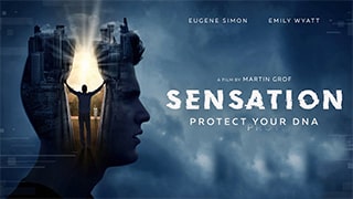 Sensation
