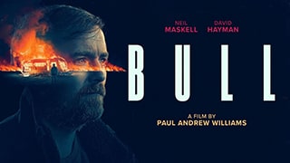 Bull