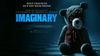 Imaginary