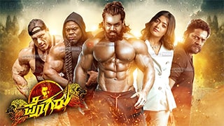 Pogaru