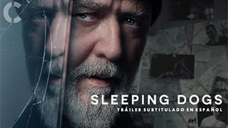 Sleeping Dogs