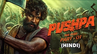 Pushpa The Rise