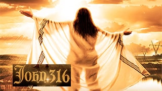john 316
