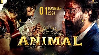 Animal magnet download