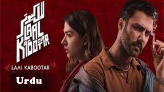 Laal Kabootar
