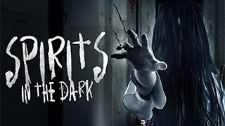 Spirits in the Dark